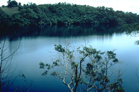 Laguna Volcanic Field .